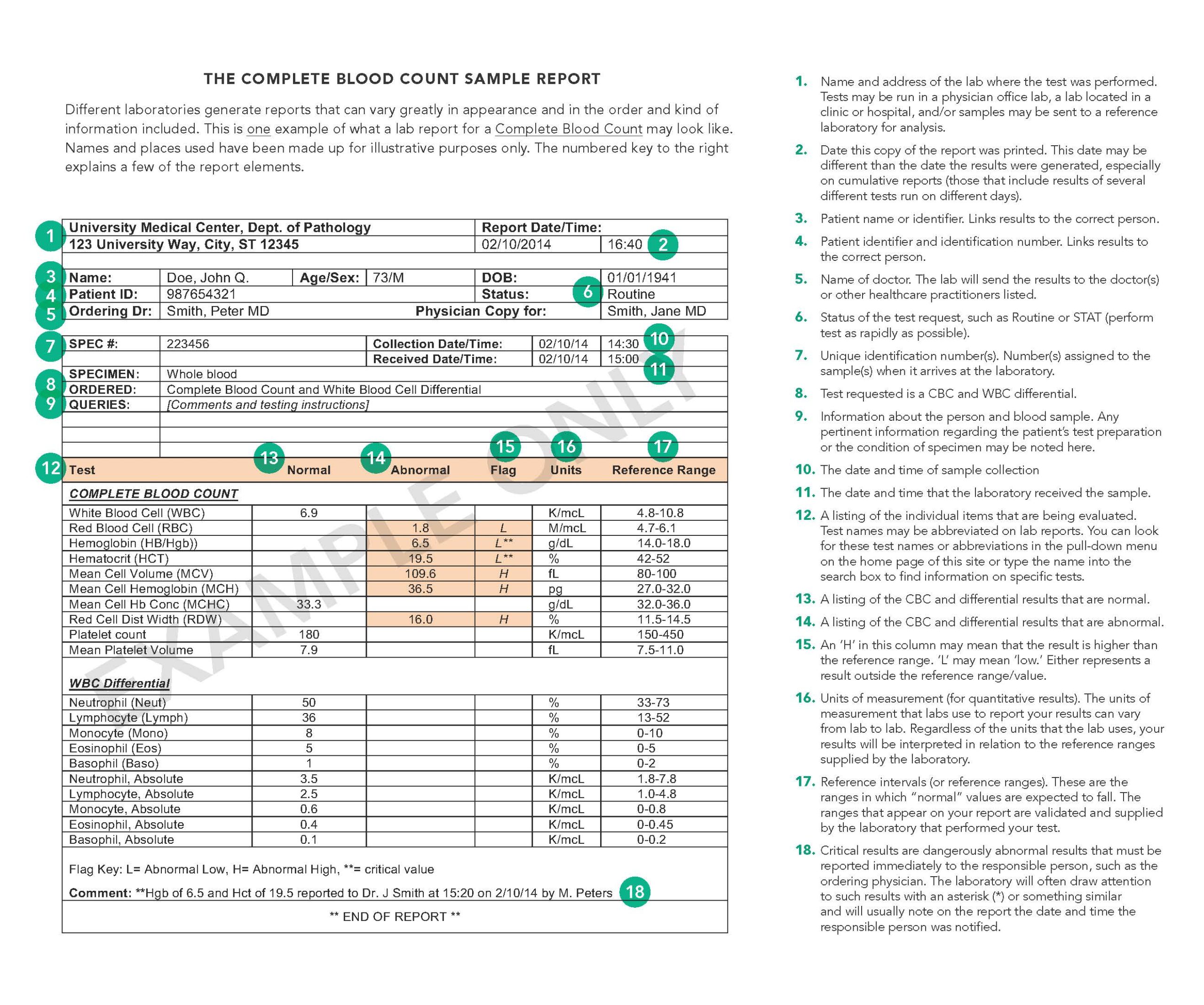 Image of sample CBC report